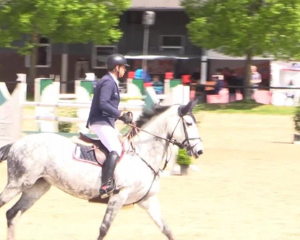 Dressur- und Springturnier Halver 2015