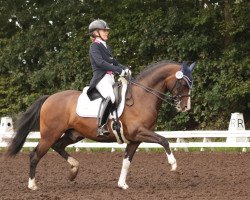 dressage horse Kasiano WE (German Riding Pony, 2008, from Keerlke)