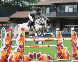 jumper Condino 30 (Oldenburg show jumper, 2007, from Con Air)