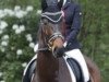 dressage horse Depeche Mode 13 (Hanoverian, 2014, from De Niro)