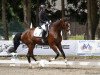 dressage horse Fiorado (Bavarian, 2014, from Fuechtels Floriscount OLD)