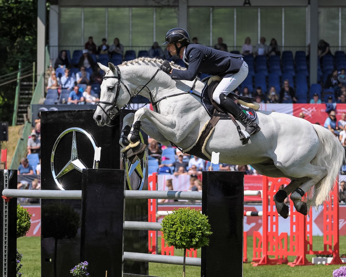 Deckhengst DSP Con Spirit (Bayer, 2006, von Cornet Obolensky)