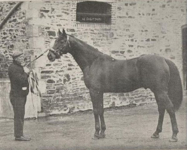 stallion Le Sagittaire xx (Thoroughbred, 1892, from Le Sancy xx)