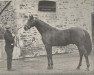 stallion Le Sagittaire xx (Thoroughbred, 1892, from Le Sancy xx)