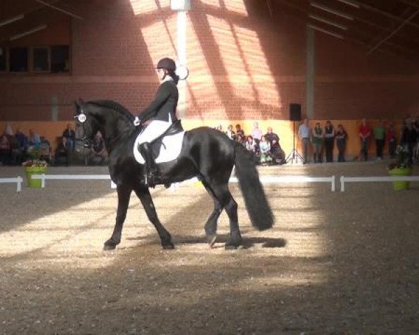 Holtkämper Dressurtage 2015