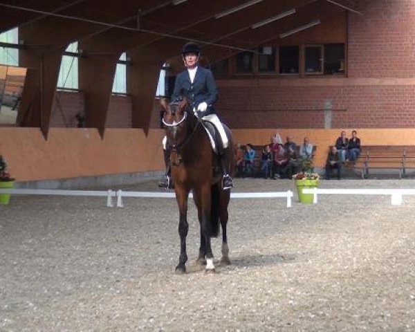 Holtkämper Dressurtage 2015