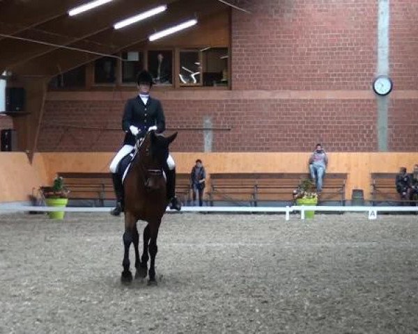 Holtkämper Dressurtage 2015