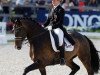 dressage horse Status Royal OLD (Oldenburg, 2010, from Statesman OLD)