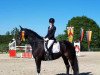 dressage horse Bustado S (Westphalian, 2012, from Bravissimo S)