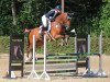 jumper Coco Malou 3 (German Sport Horse, 2015, from Casario)