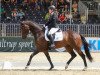 dressage horse Rubico's Dream (Westphalian, 2015, from Rheingau)