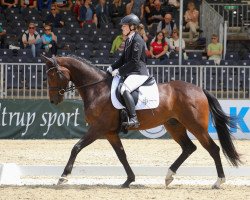 dressage horse Rubico's Dream (Westphalian, 2015, from Rheingau)