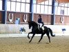 dressage horse Donna Di (Württemberger, 2008, from Don Henrico)