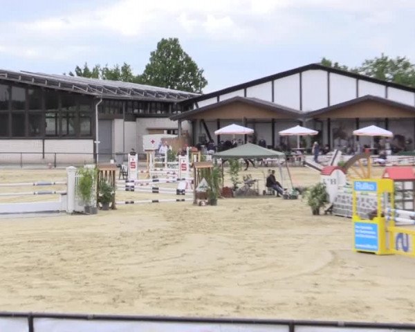 Reit - und Springturnier Hamm-Rhynern 2015