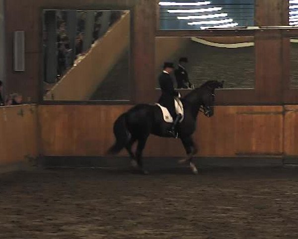 Lübecker Reitertage 2015