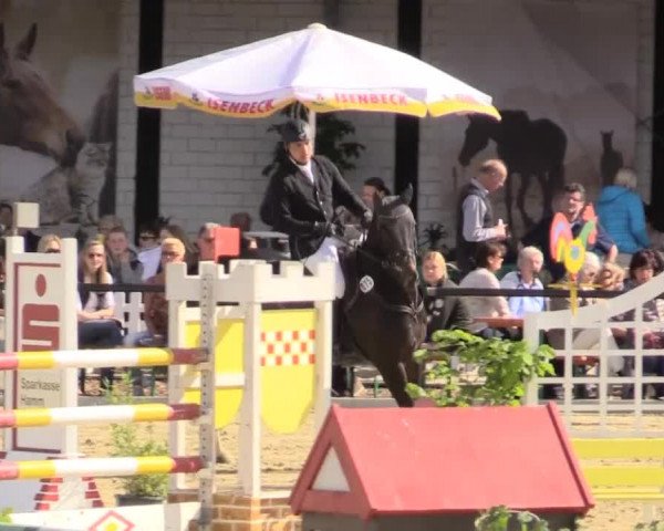 Reit - und Springturnier Hamm-Rhynern 2015