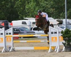 Springpferd Th Coco Rosie CH (Schweizer Warmblut, 2011, von Coronino)