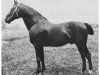 stallion Füsilier 1761 (Holsteiner, 1892, from Nordlicht)