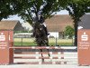 jumper Amilijo (Oldenburg show jumper, 2014, from Amman)