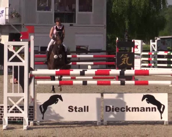 Großes Reit- und Springturnier Kirchhellen/Stall Dieckmann 2015