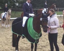 dressage horse Lecompte (German Riding Pony, 2000, from Lucky Strike)