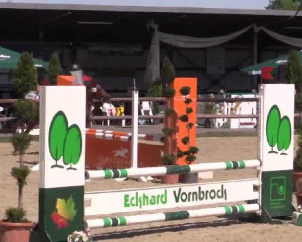 Großes Reit- und Springturnier Kirchhellen/Stall Dieckmann 2015