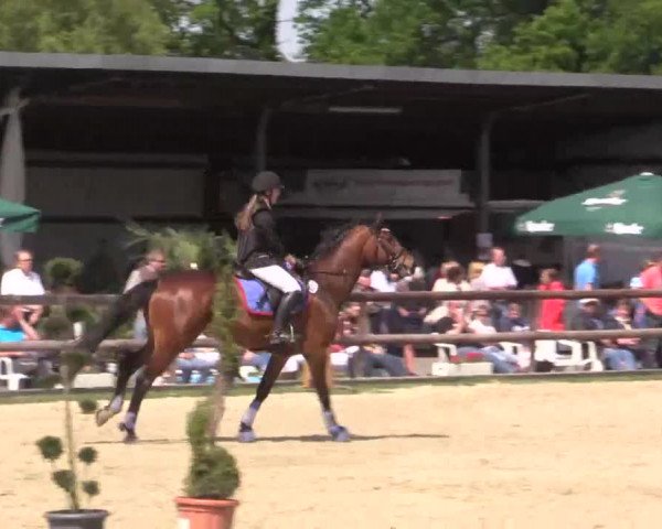 Großes Reit- und Springturnier Kirchhellen/Stall Dieckmann 2015