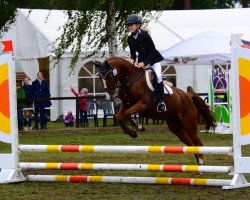 dressage horse Romy (German Riding Pony, 2000)