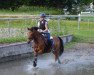 dressage horse Adrejo (German Riding Pony, 2000, from Amarillys Sensation D)