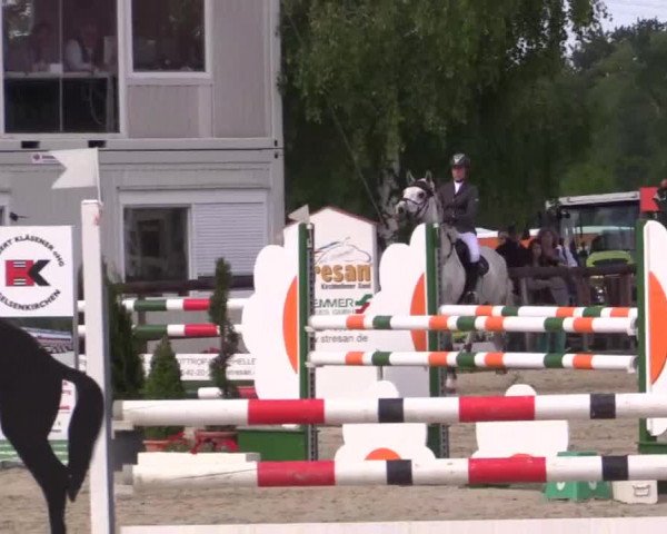 Großes Reit- und Springturnier Kirchhellen/Stall Dieckmann 2015
