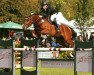 jumper Svorre (Hanoverian, 2010, from Stakkato)