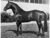 stallion Anilin (Holsteiner, 1962, from Anblick xx)