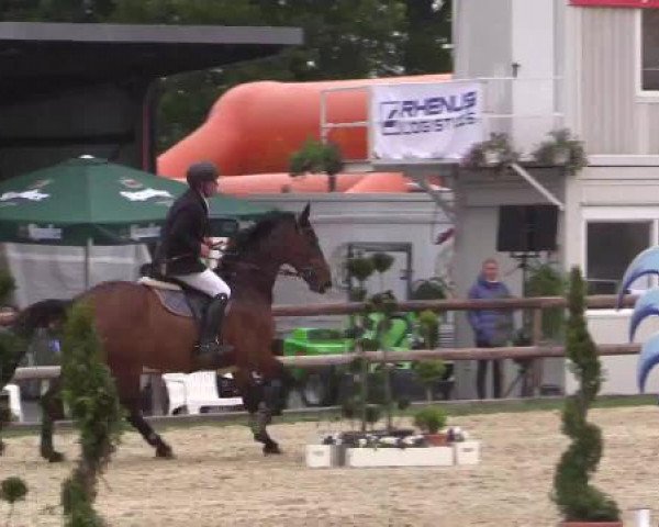 Großes Reit- und Springturnier Kirchhellen/Stall Dieckmann 2015
