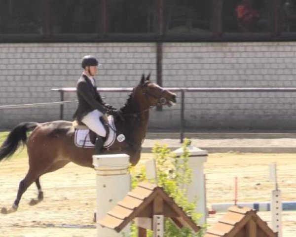 Reit - und Springturnier Hamm-Rhynern 2015