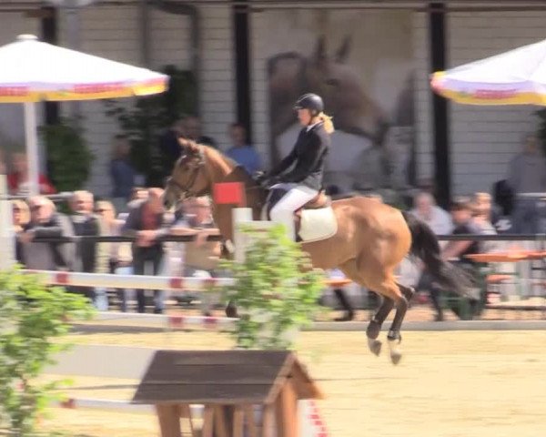 Reit - und Springturnier Hamm-Rhynern 2015