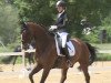 dressage horse Royal Pleasure 3 (Oldenburg, 2006, from Rubin Cortes OLD)