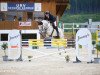 jumper First Casina S (Oldenburg show jumper, 2012, from Casino)