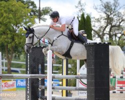 broodmare Fairy Blue (German Sport Horse, 2012, from Cellestial)