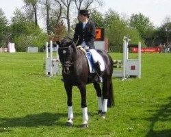 dressage horse Fides (Rhinelander, 2003, from Fiderglanz)