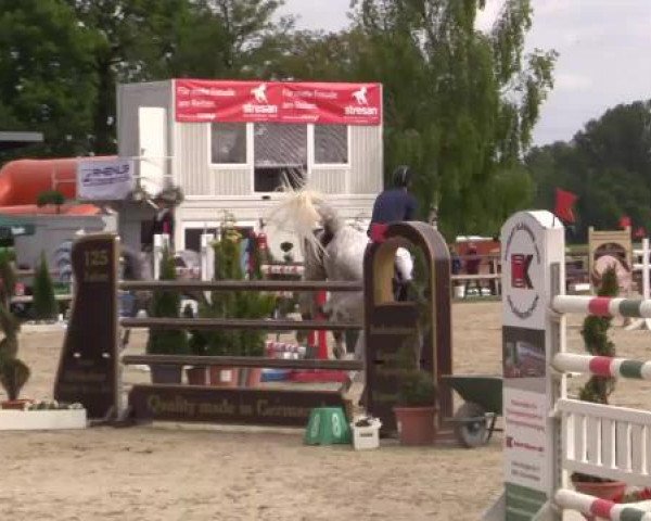 Großes Reit- und Springturnier Kirchhellen/Stall Dieckmann 2015
