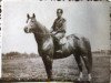 stallion Mister Tory xx (Thoroughbred, 1956, from Aquino xx)