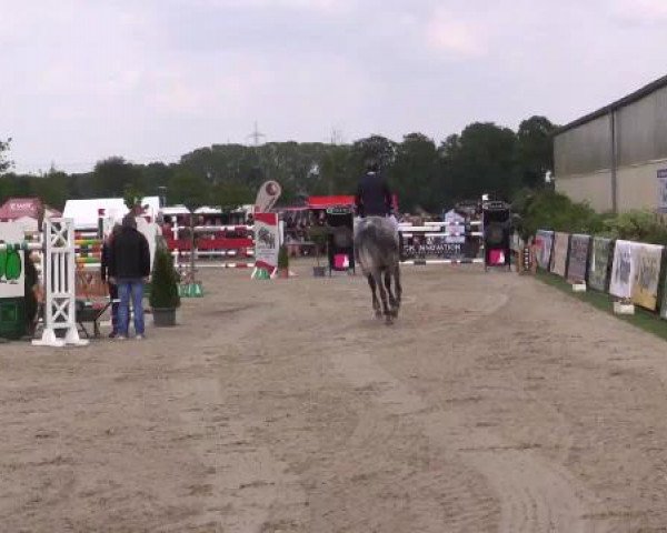 Großes Reit- und Springturnier Kirchhellen/Stall Dieckmann 2015
