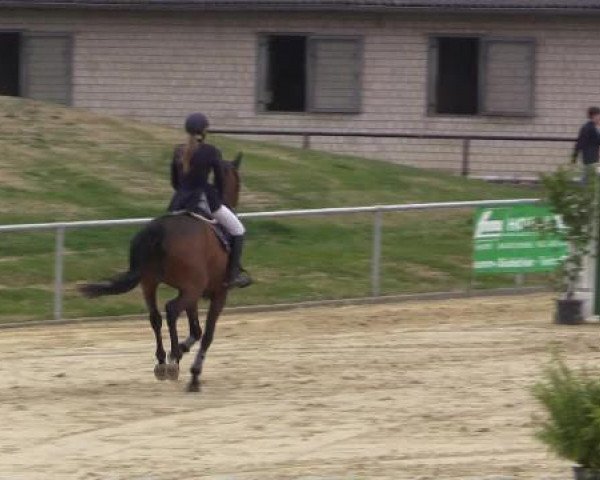 Reit - und Springturnier Hamm-Rhynern 2015