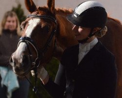 dressage horse Eddy (Westfale, 2015, from Estobar NRW)