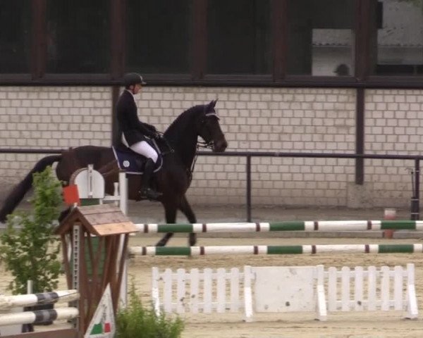 Reit - und Springturnier Hamm-Rhynern 2015