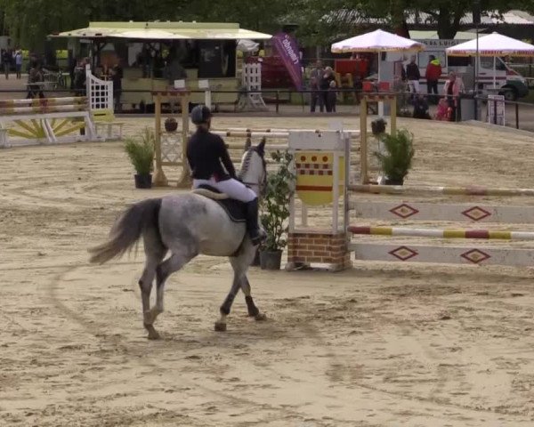 Reit - und Springturnier Hamm-Rhynern 2015