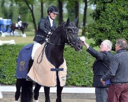 stallion Raul (Oldenburg, 2009, from Rosandro)