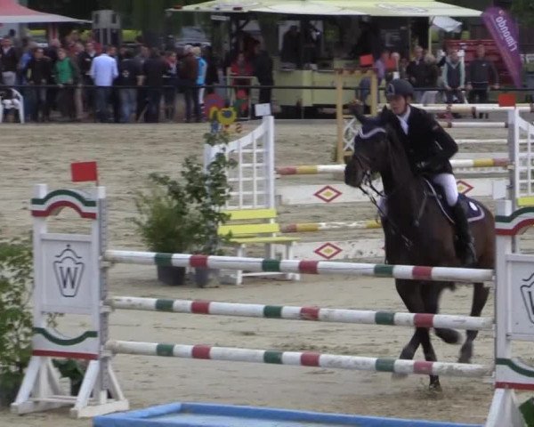 Reit - und Springturnier Hamm-Rhynern 2015