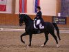 dressage horse My dark Dream (Hanoverian, 2008, from Fidertanz)