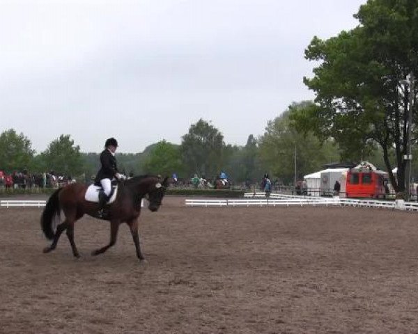 Reit - und Springturnier Hamm-Rhynern 2015